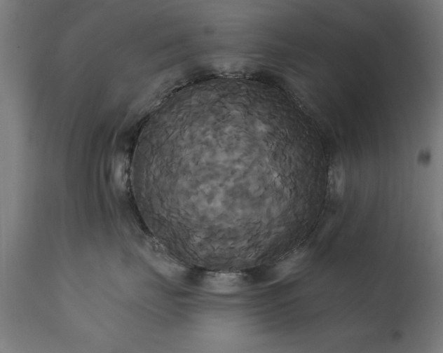 X0000111820671200907301258