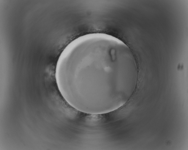 X0000111820672200907301258