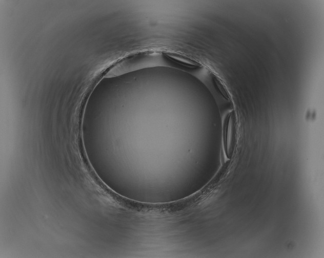 X0000111820673200907301257