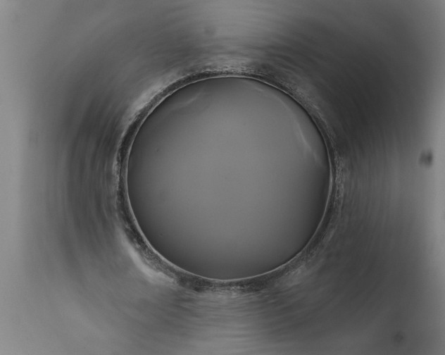 X0000111820674200907301257
