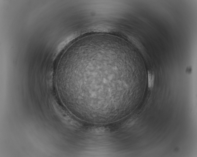X0000111820675200907301257