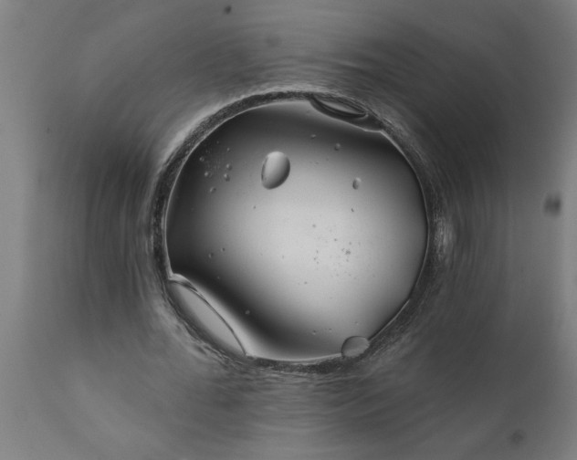 X0000111820676200907301257