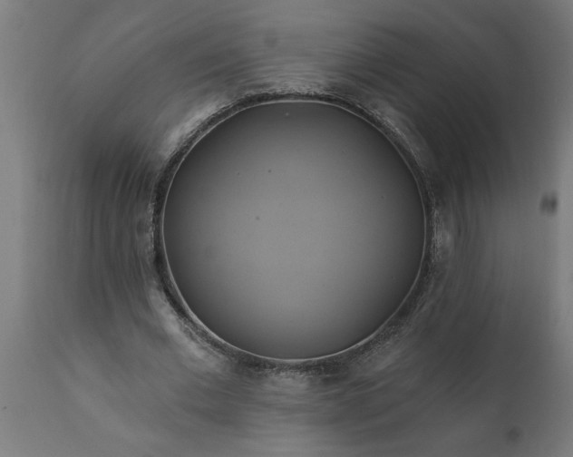 X0000111820677200907301257
