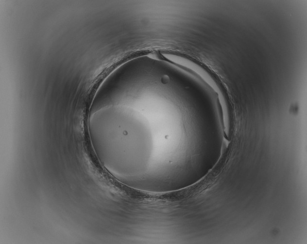 X0000111820681200907301257
