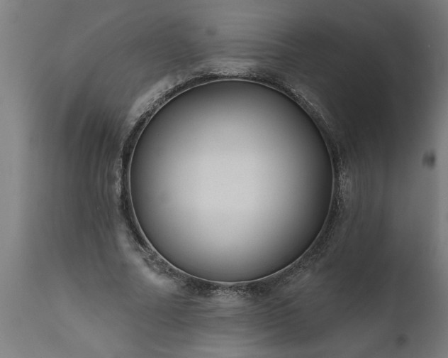 X0000111820682200907301257