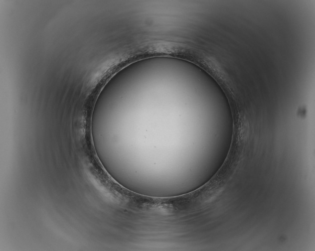 X0000111820683200907301257