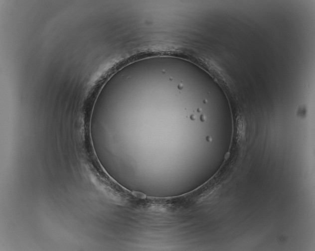 X0000111820684200907301257