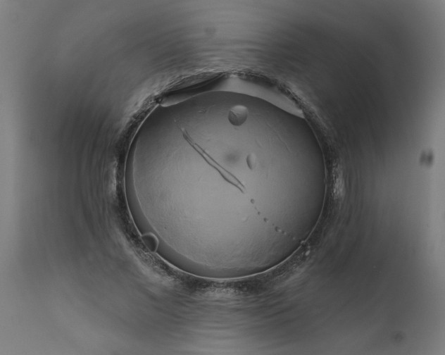 X0000111820685200907301257
