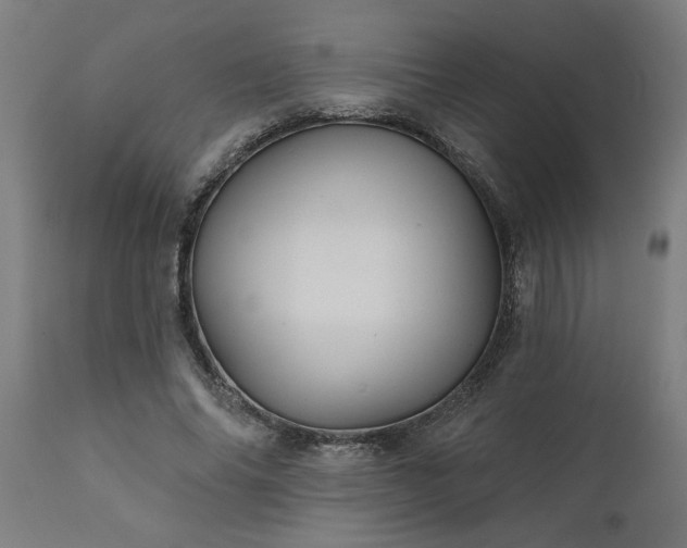 X0000111820686200907301257