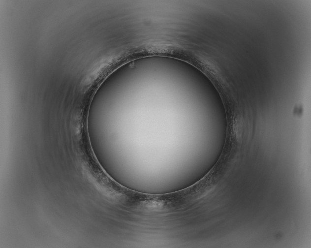 X0000111820687200907301257