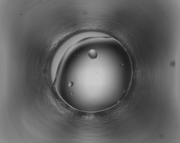 X0000111820688200907301257