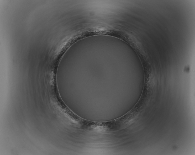 X0000111820689200907301257