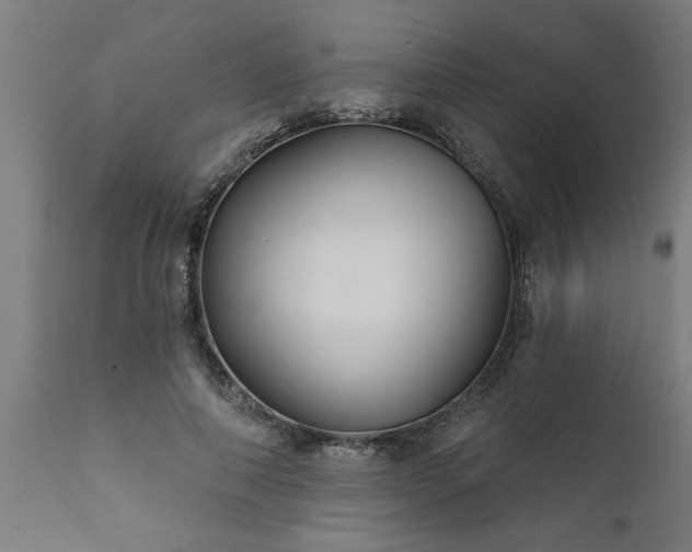 X0000111820690200907301257