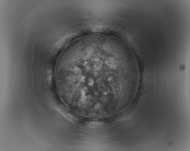 X0000111820691200907301257