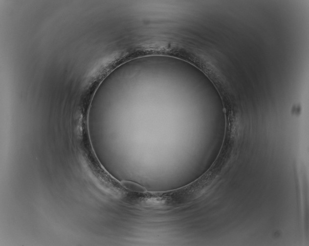 X0000111820692200907301257