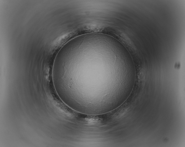 X0000111820693200907301257