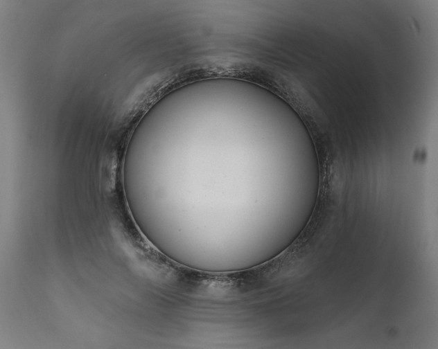 X0000111820694200907301257