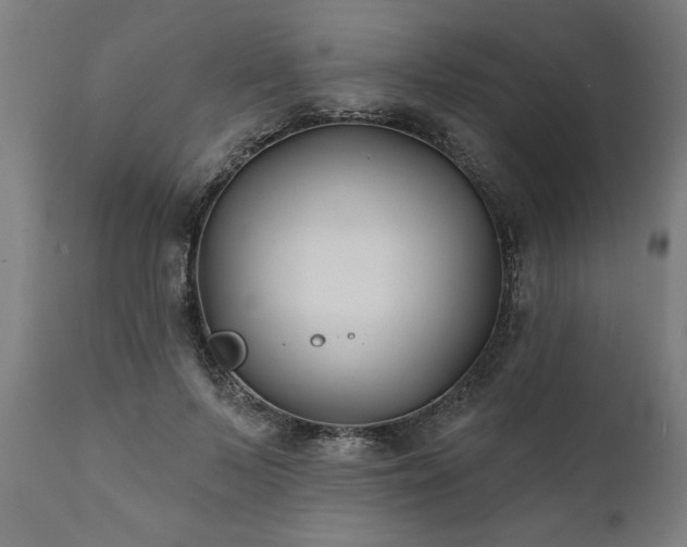 X0000111820695200907301257