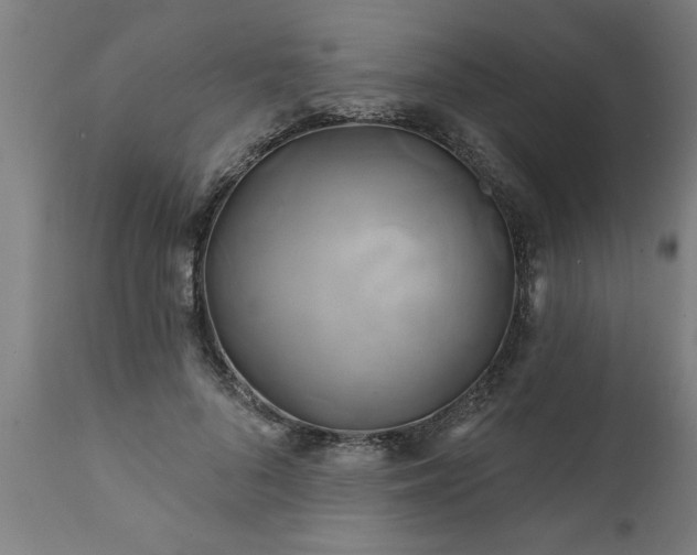 X0000111820696200907301257