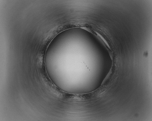 X0000111820697200907301257
