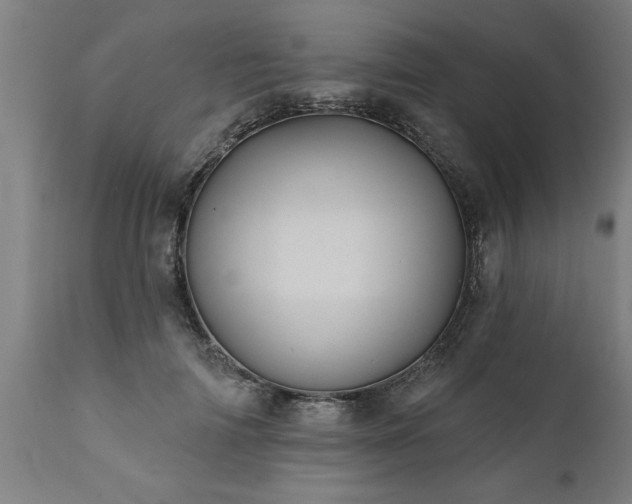 X0000111820698200907301257