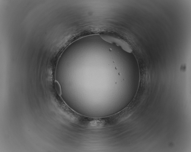 X0000111820700200907301257