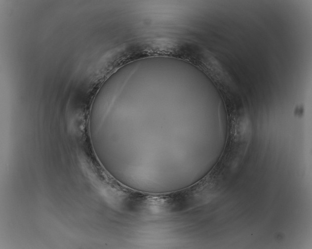 X0000111820701200907301257