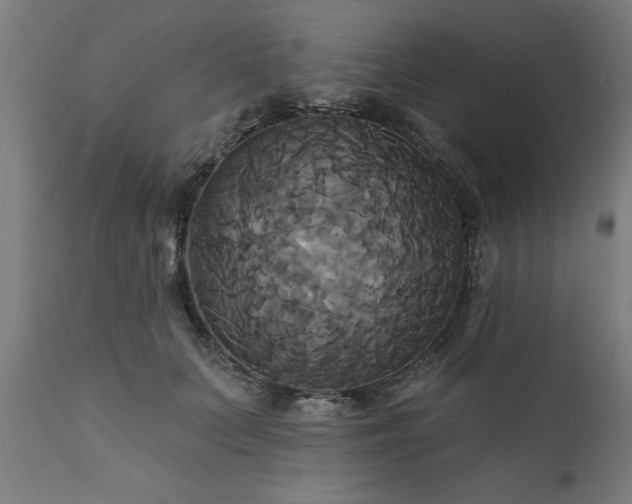 X0000111820703200907301257