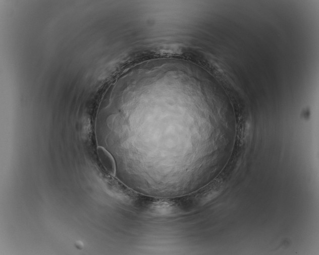 X0000111820704200907301257