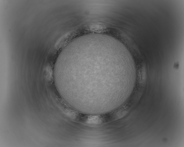 X0000111820705200907301257