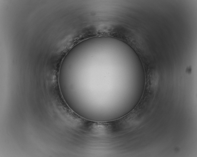 X0000111820706200907301257