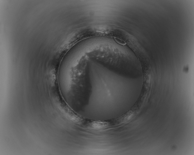 X0000111820707200907301257