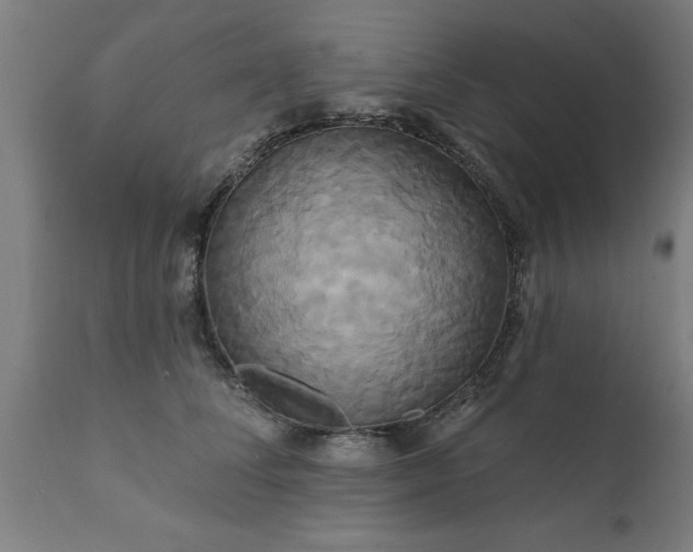 X0000111820708200907301257