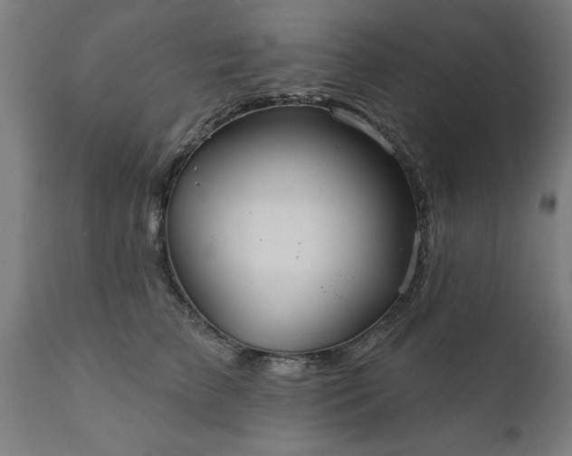 X0000111820709200907301257