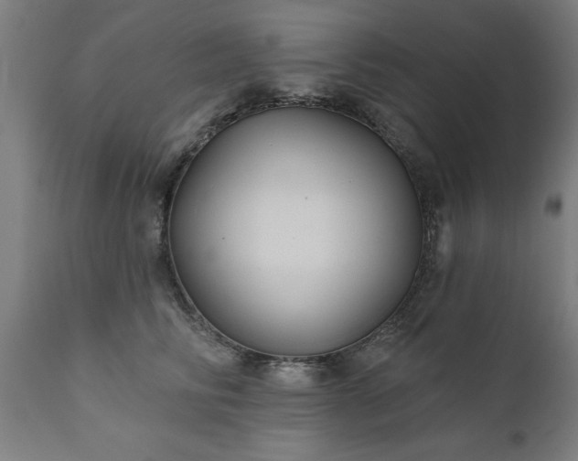 X0000111820710200907301257