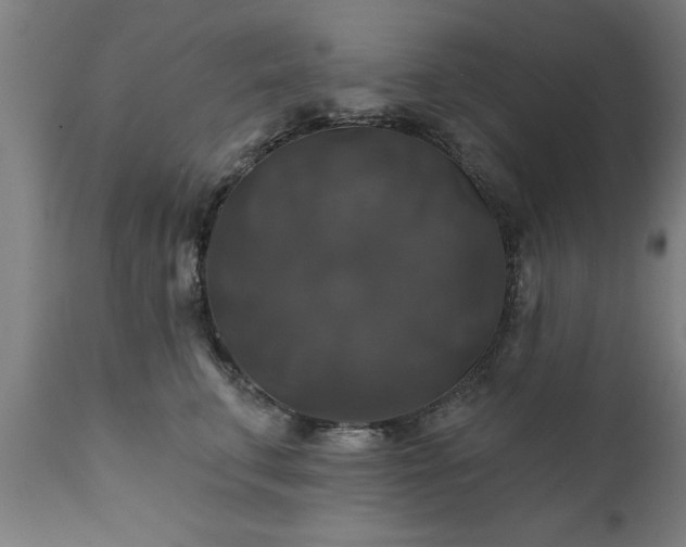 X0000111820711200907301257