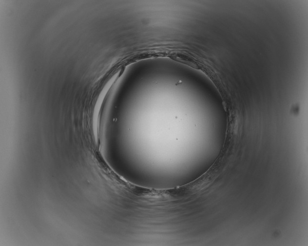 X0000111820712200907301257