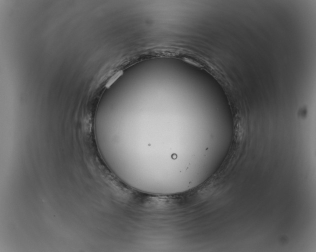 X0000111820713200907301257