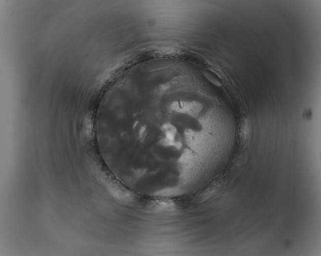 X0000111820715200907301257
