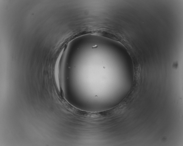 X0000111820716200907301257