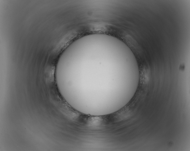 X0000111820717200907301257