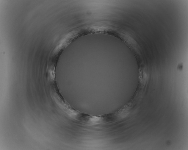 X0000111820718200907301257