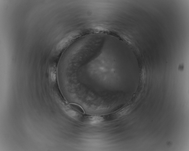X0000111820719200907301257