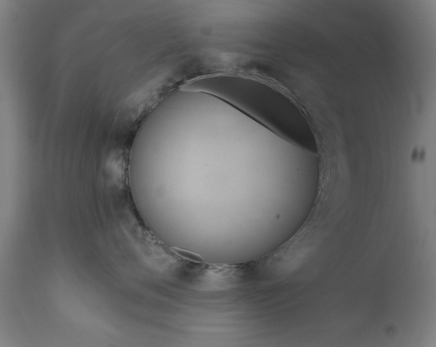 X0000111820720200907301257