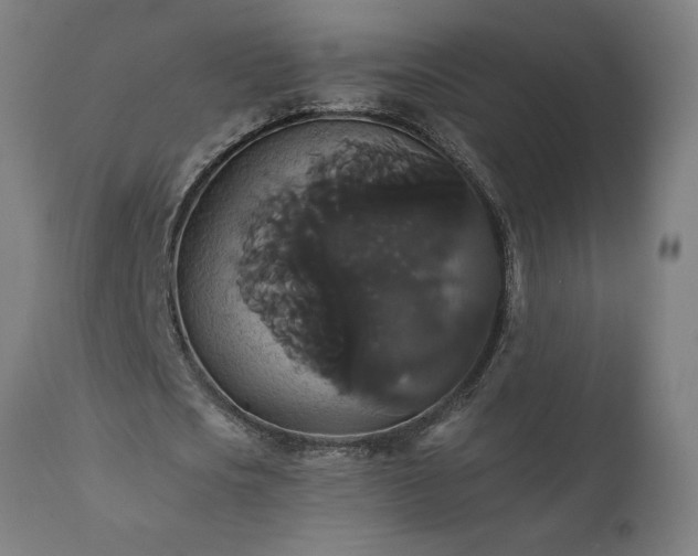 X0000111820721200907301256