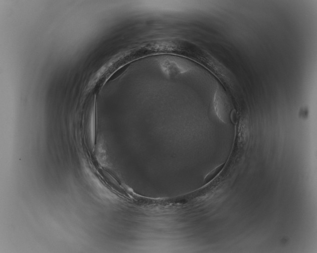 X0000111820722200907301256