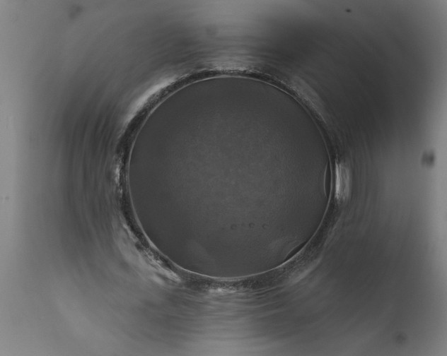 X0000111820723200907301256