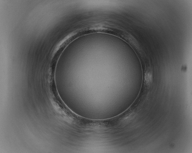 X0000111820724200907301256