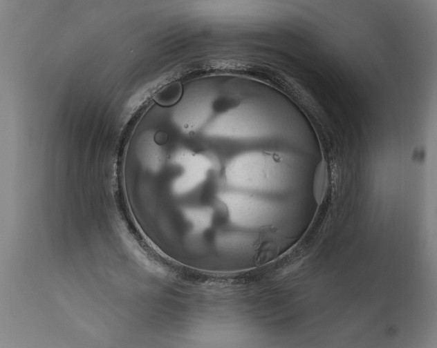 X0000111820725200907301256