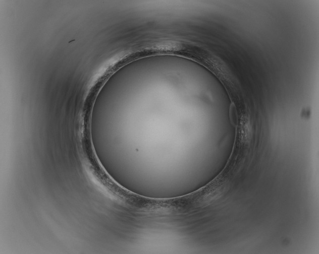 X0000111820726200907301256